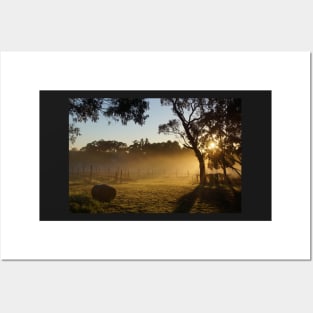 Sunrise over the vines by Avril Thomas at Magpie Springs Posters and Art